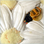 chenille bees and silk flowers